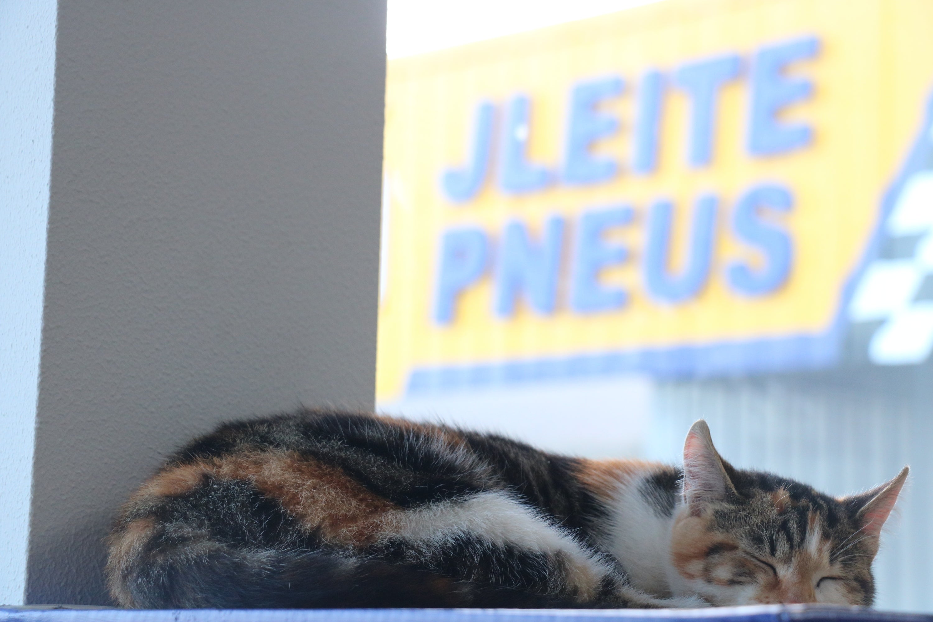 Promoções do Mês: