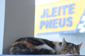 Cartão de Oferta J. Leite Pneus