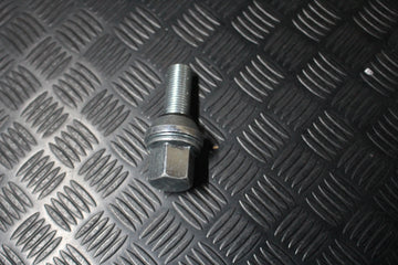 Pernos com Anilha (Excêntrico)