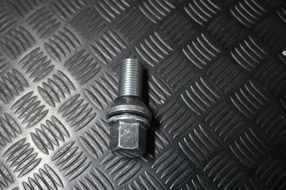 Pernos com Anilha (Excêntrico)