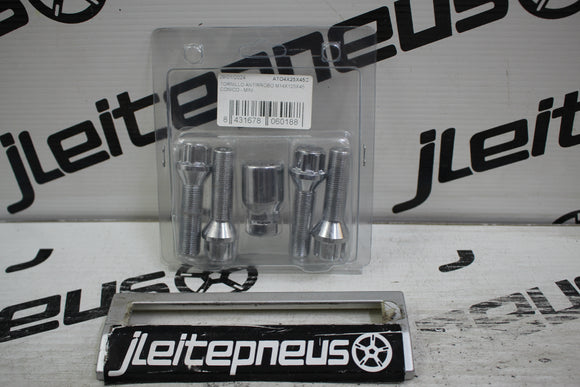 Kit Anti-Roubo Parafusos 14x1.25 (Longo)